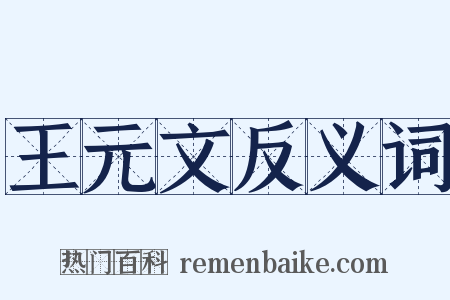 王元文反义词是什么意思的图片